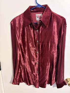 Vintage Protest Girls Burgundy Velvet Button Down Blouse Sheer Pleated Sleeves